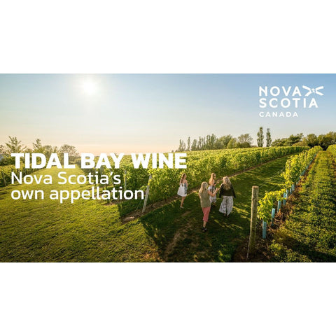 Tidal Bay Coffret de 6 Offre Spéciale Vacances