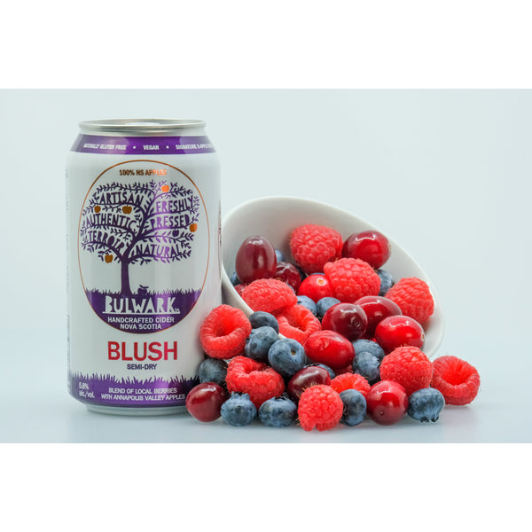 Bulwark Cider Blush 4 canettes de 355 ml