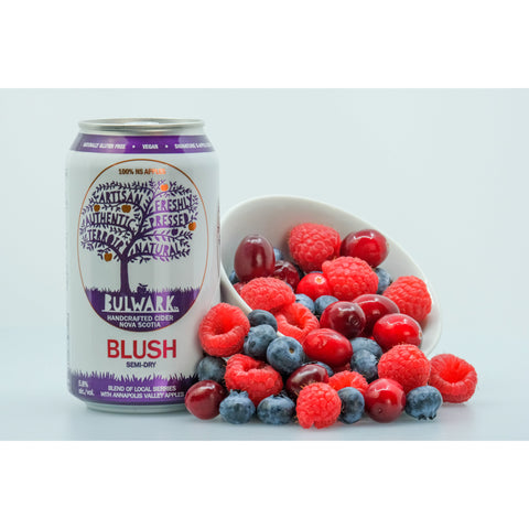Bulwark Cider Blush 4 x 355 ml cans